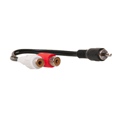 RCA Splitter / Adapter, RCA Male to Dual RCA Female, 6 inch